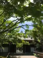 宝珠山 観泉寺の山門・神門