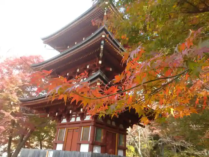 岡寺(龍蓋寺)のその他建物