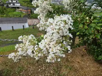 かむろ大師(和歌山県)