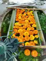 立志神社の手水舎