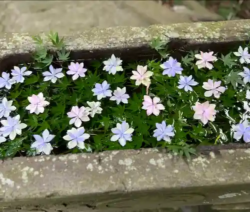 田間神社(千葉県)