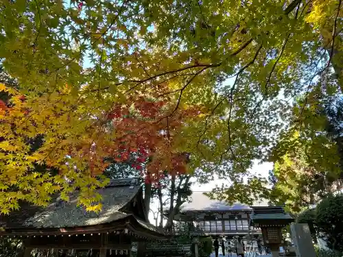 大神神社の{uncategorized: "未分類", other: "その他", undefined: "問題あり", building: "その他建物", grave: "お墓", sacred_gate: "鳥居", guardian: "狛犬", statue: "像", buddha: "仏像", history: "歴史", nature: "自然", garden: "庭園", animal: "動物", pagoda: "塔", temizu: "手水舎", mountain_gate: "山門・神門", sanctuary: "本殿・本堂", subordinate: "末社・摂社", art: "芸術", scenery: "景色", jizo: "地蔵", ema: "絵馬", goshuin: "御朱印", omikuji: "おみくじ", items: "授与品その他", amulet: "お守り", goshuincho: "御朱印帳", eats: "食事", festival: "お祭り", votive_dance: "神楽", shichigosan: "七五三参", wedding: "結婚式", experience: "体験その他", initially: "初詣", around: "周辺", anti_infection: "感染症対策"}
