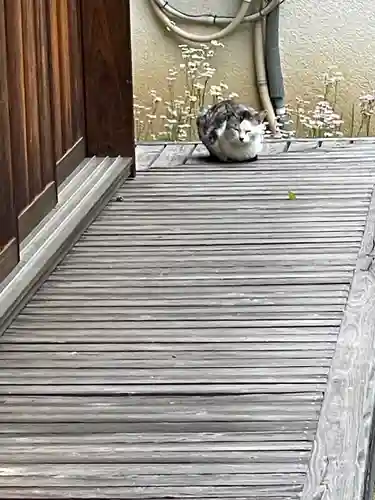 伊勢の国 四天王寺の動物