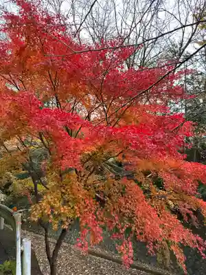 須山浅間神社(静岡県)