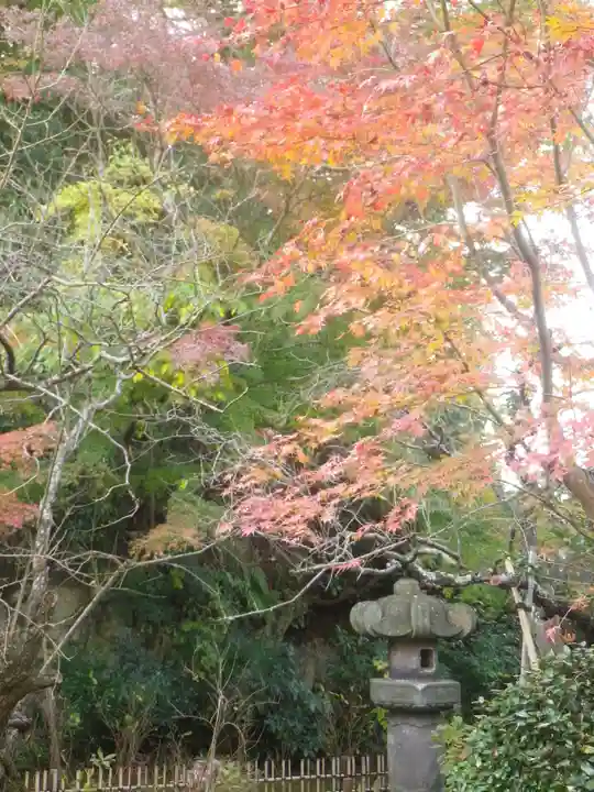 安國論寺(安国論寺)の自然