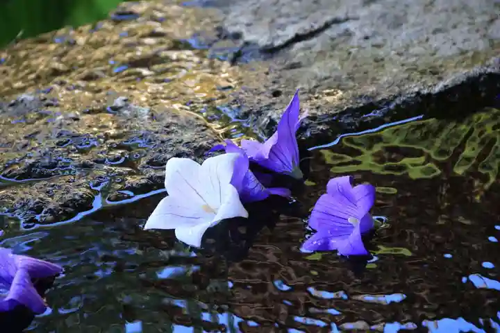 鹿島大神宮の手水舎