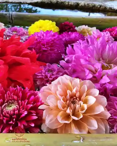 立志神社(滋賀県)