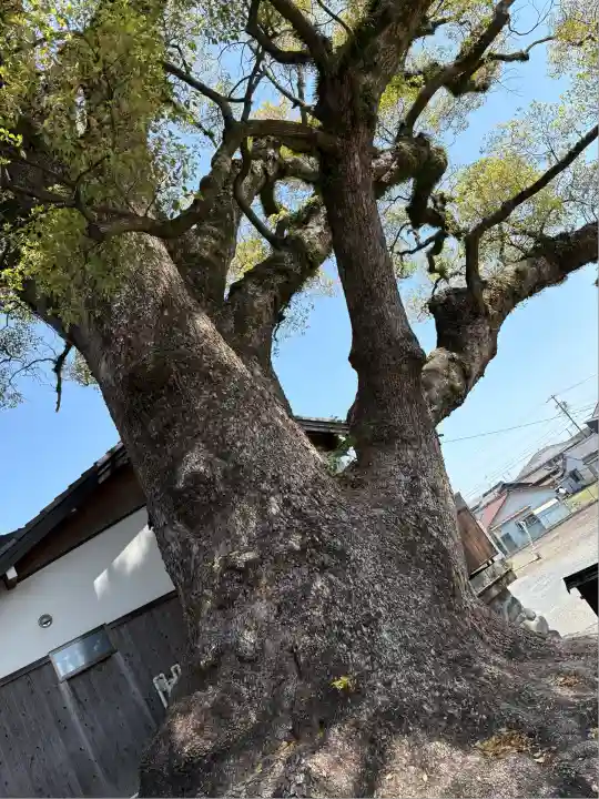 栖光院(愛知県)