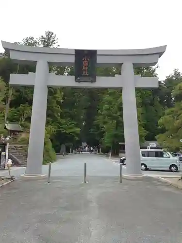 小國神社の鳥居