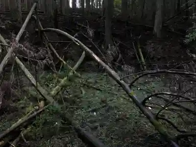 龜山神社の周辺