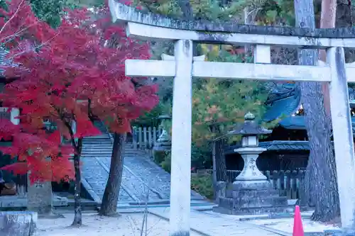 今宮神社(京都府)
