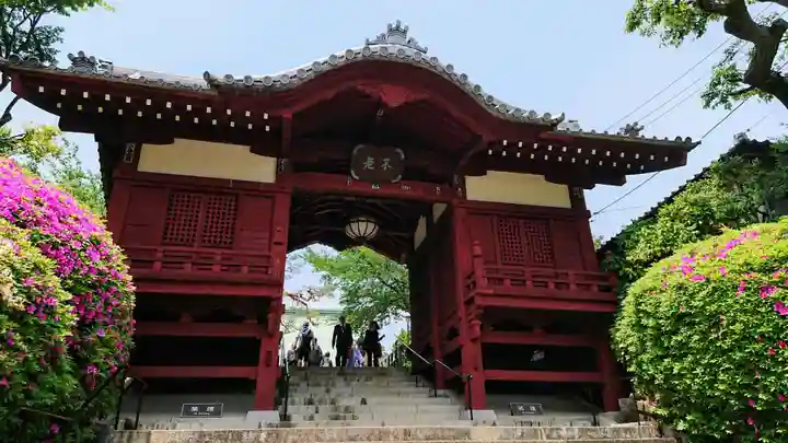 護国寺の山門・神門