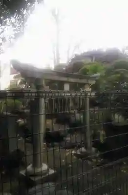 富士浅間神社の鳥居