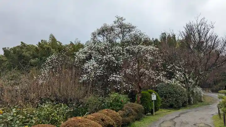正法寺(京都府)