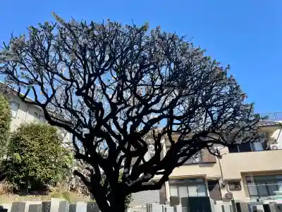 福勝寺の{uncategorized: "未分類", other: "その他", undefined: "問題あり", building: "その他建物", grave: "お墓", sacred_gate: "鳥居", guardian: "狛犬", statue: "像", buddha: "仏像", history: "歴史", nature: "自然", garden: "庭園", animal: "動物", pagoda: "塔", temizu: "手水舎", mountain_gate: "山門・神門", sanctuary: "本殿・本堂", subordinate: "末社・摂社", art: "芸術", scenery: "景色", jizo: "地蔵", ema: "絵馬", goshuin: "御朱印", omikuji: "おみくじ", items: "授与品その他", amulet: "お守り", goshuincho: "御朱印帳", eats: "食事", festival: "お祭り", votive_dance: "神楽", shichigosan: "七五三参", wedding: "結婚式", experience: "体験その他", initially: "初詣", around: "周辺", anti_infection: "感染症対策"}