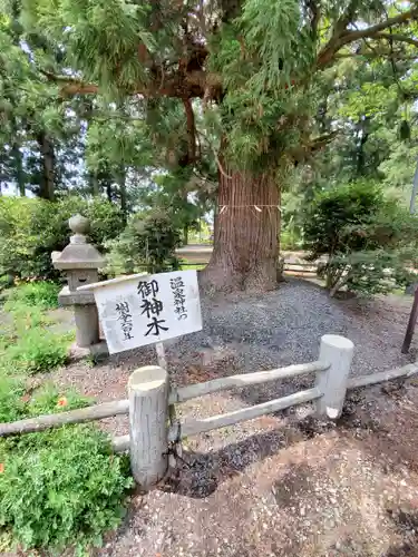 小川温泉神社の自然