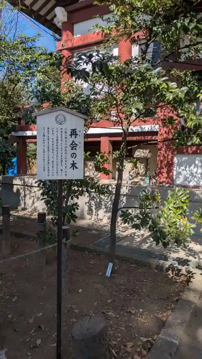 川越八幡宮(埼玉県)