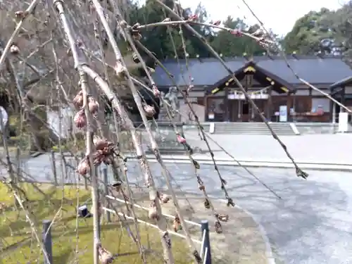 足羽神社(福井県)