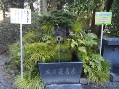 新橋浅間神社の自然