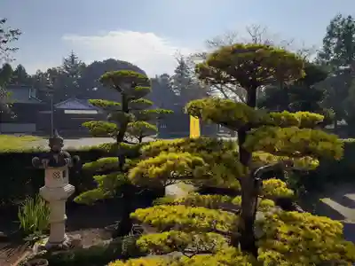 伏木香取神社(茨城県)