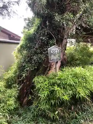 許波多神社(五ケ庄鎮座)のその他建物