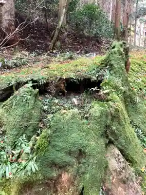 御岩神社(茨城県)
