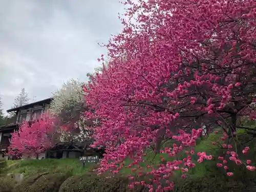 国宝 大法寺(長野県)