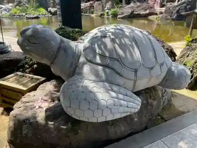 金剛福寺(高知県)
