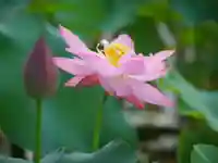 極楽山 浄土寺(北海道)