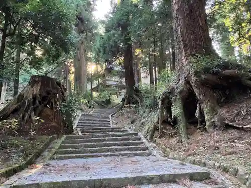 最乗寺（道了尊）(神奈川県)