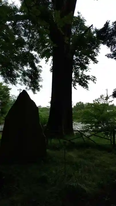 富士山東口本宮 冨士浅間神社の自然
