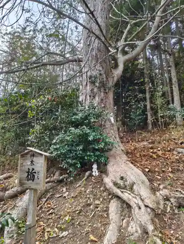 早馬神社の{uncategorized: "未分類", other: "その他", undefined: "問題あり", building: "その他建物", grave: "お墓", sacred_gate: "鳥居", guardian: "狛犬", statue: "像", buddha: "仏像", history: "歴史", nature: "自然", garden: "庭園", animal: "動物", pagoda: "塔", temizu: "手水舎", mountain_gate: "山門・神門", sanctuary: "本殿・本堂", subordinate: "末社・摂社", art: "芸術", scenery: "景色", jizo: "地蔵", ema: "絵馬", goshuin: "御朱印", omikuji: "おみくじ", items: "授与品その他", amulet: "お守り", goshuincho: "御朱印帳", eats: "食事", festival: "お祭り", votive_dance: "神楽", shichigosan: "七五三参", wedding: "結婚式", experience: "体験その他", initially: "初詣", around: "周辺", anti_infection: "感染症対策"}
