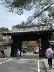 南禅寺(京都府)