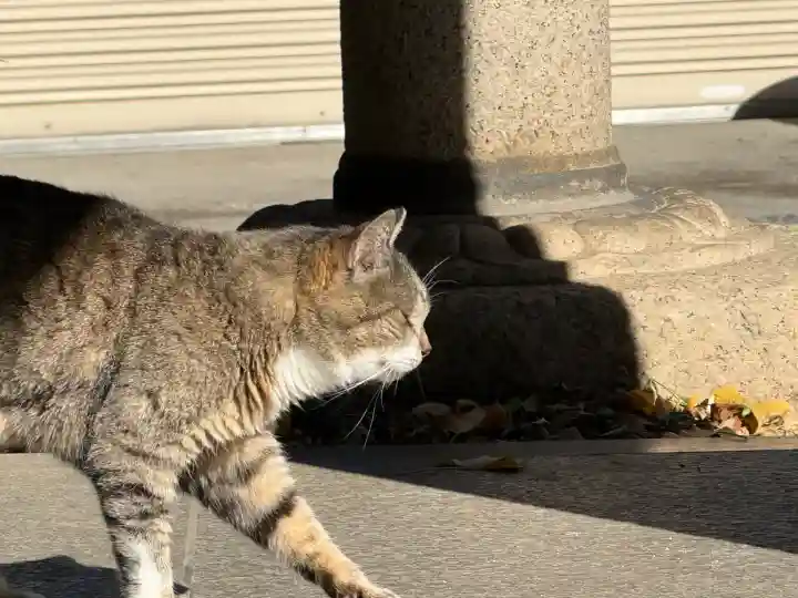 白金氷川神社(東京都)