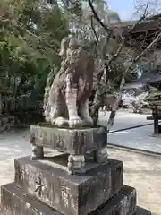 今宮神社の狛犬