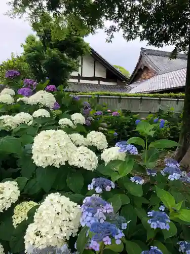 性海寺の自然