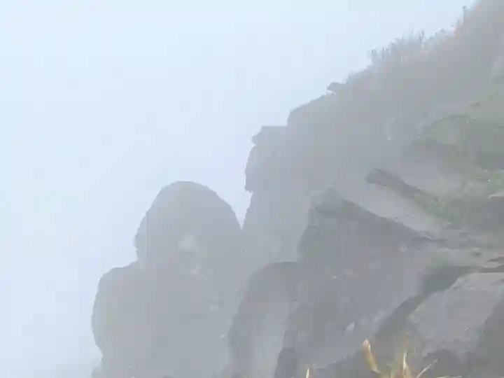 禰固岳神社の自然