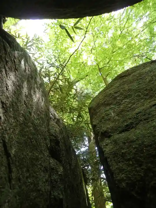 石割神社の自然