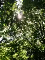 枚岡神社の自然