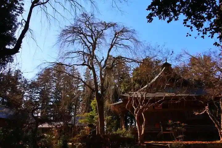 田村神社の景色