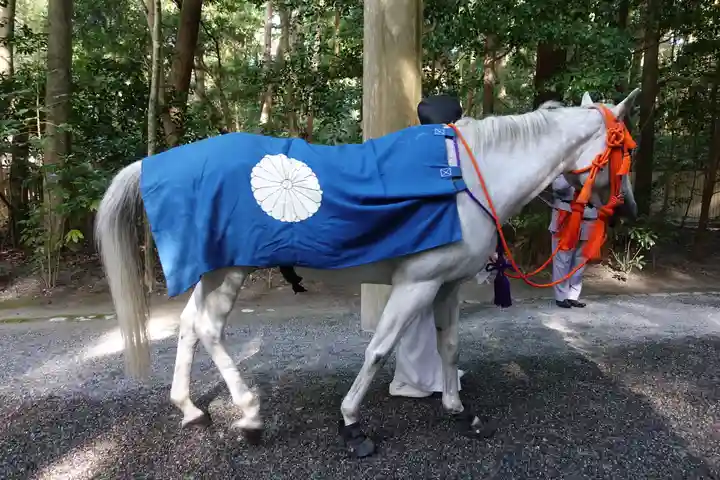 伊勢神宮外宮(豊受大神宮)の動物