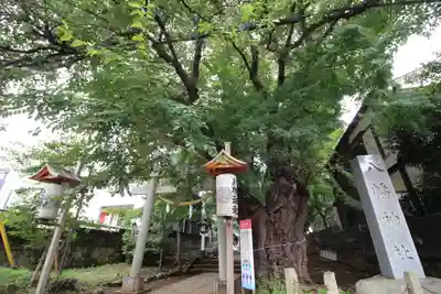 下高井戸八幡神社(東京都)