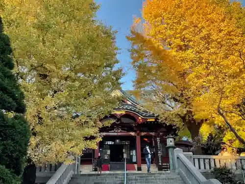 待乳山聖天（本龍院）の本殿・本堂