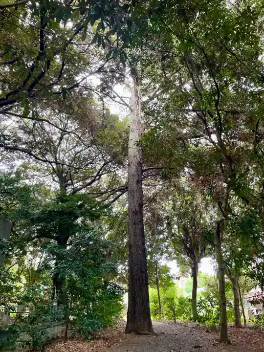 白龍弁財天社(雷電神社末社)(群馬県)