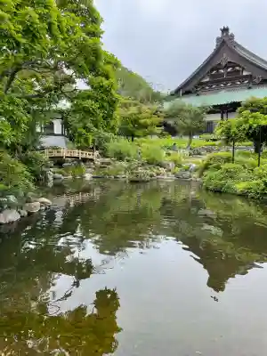 時宗総本山 遊行寺（正式：清浄光寺）の{uncategorized: "未分類", other: "その他", undefined: "問題あり", building: "その他建物", grave: "お墓", sacred_gate: "鳥居", guardian: "狛犬", statue: "像", buddha: "仏像", history: "歴史", nature: "自然", garden: "庭園", animal: "動物", pagoda: "塔", temizu: "手水舎", mountain_gate: "山門・神門", sanctuary: "本殿・本堂", subordinate: "末社・摂社", art: "芸術", scenery: "景色", jizo: "地蔵", ema: "絵馬", goshuin: "御朱印", omikuji: "おみくじ", items: "授与品その他", amulet: "お守り", goshuincho: "御朱印帳", eats: "食事", festival: "お祭り", votive_dance: "神楽", shichigosan: "七五三参", wedding: "結婚式", experience: "体験その他", initially: "初詣", around: "周辺", anti_infection: "感染症対策"}