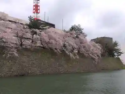 福井神社(福井県)