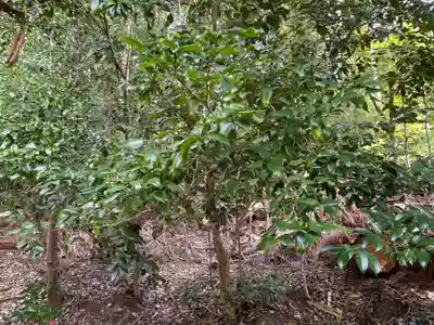 平岡八幡宮(京都府)