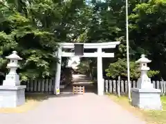 亀田八幡宮の鳥居