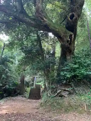 稲荷神社(千葉県)