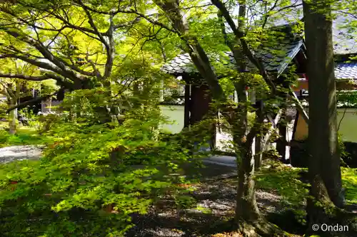 穴太寺の御朱印